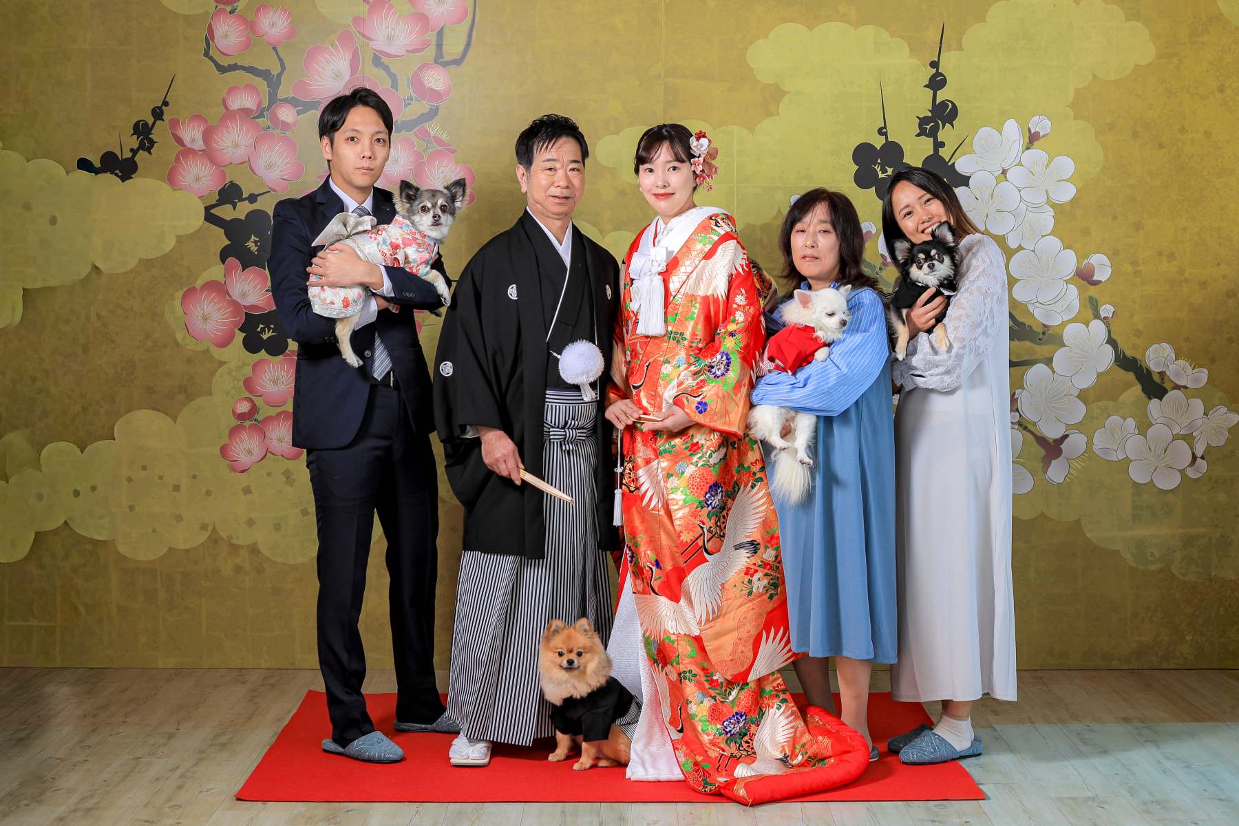 宮崎スタジオで和装と洋装ロケーション撮影🐶part,1