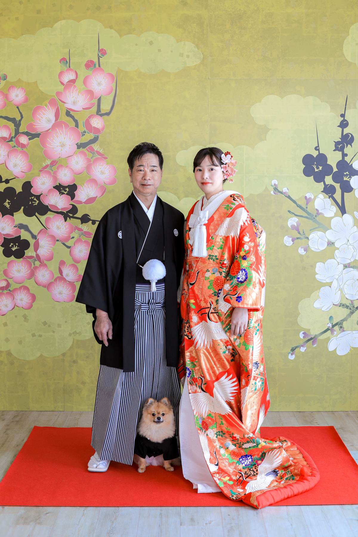宮崎スタジオで和装と洋装ロケーション撮影🐶part,1