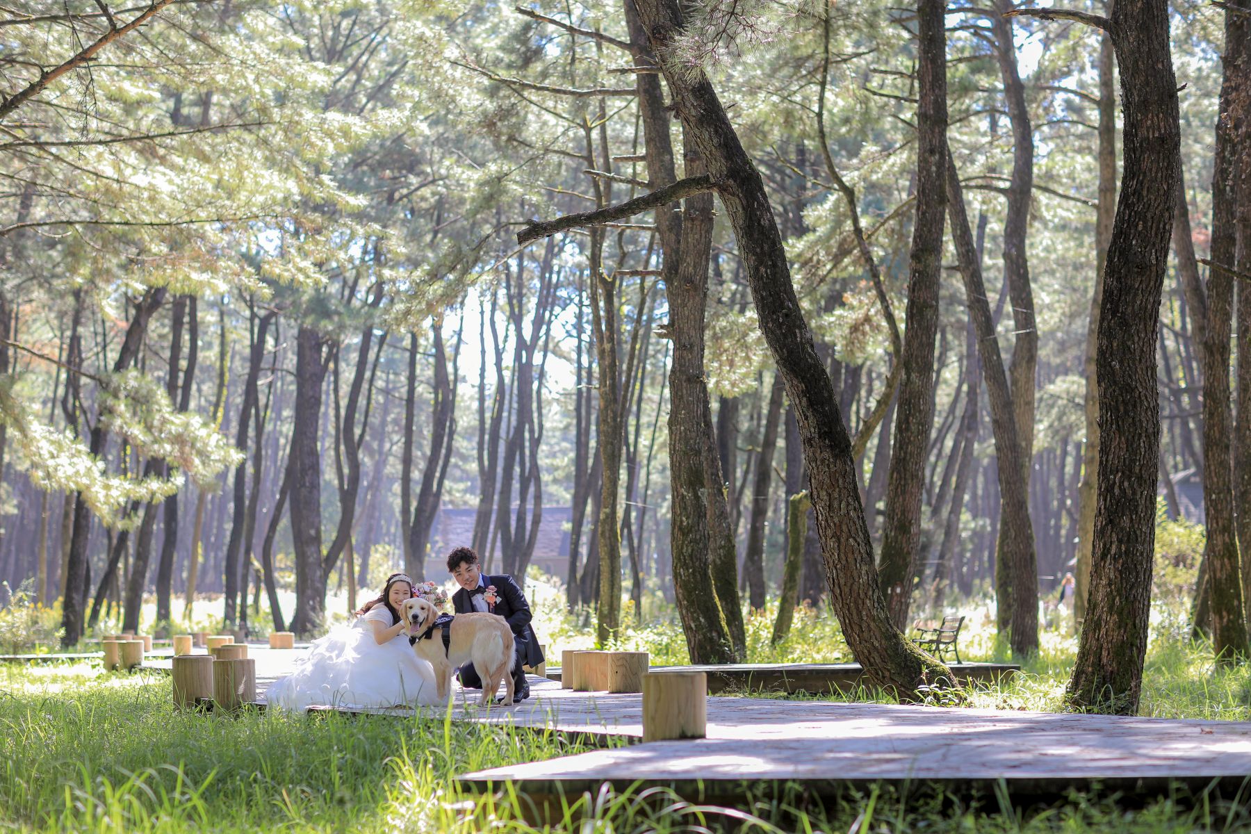 愛犬と宮崎スタジオとロケーション撮影で💗part.2🐶