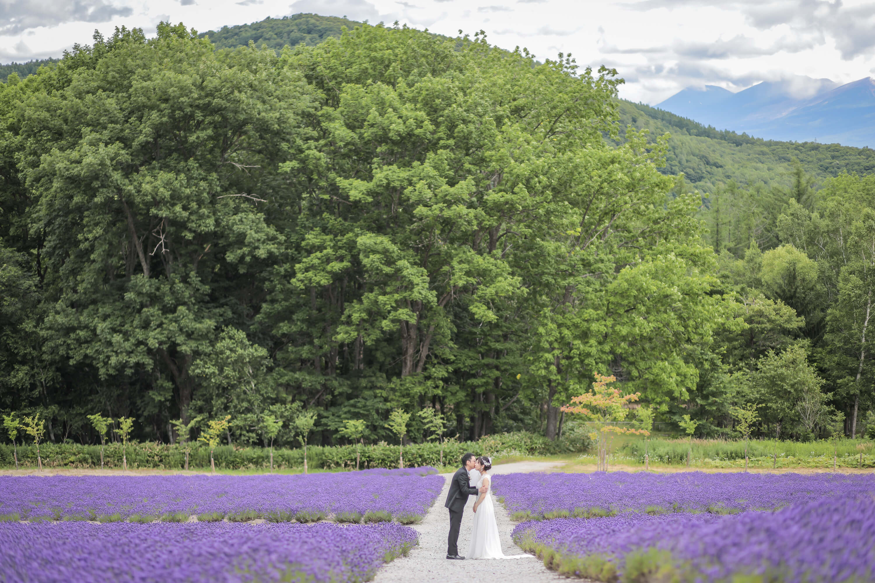 富良野市内最大のラベンダー畑でWEDDING♡