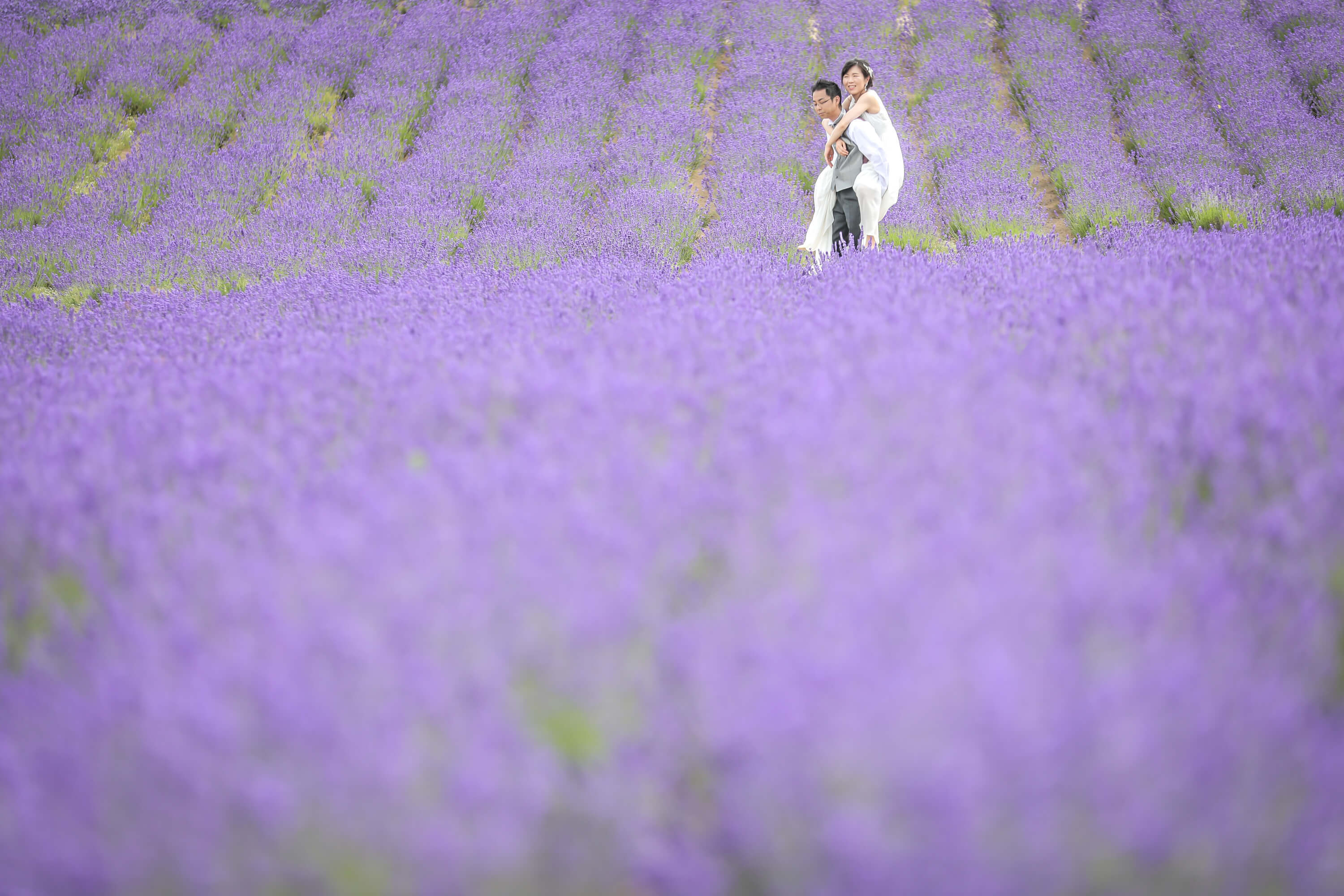 富良野市内最大のラベンダー畑でWEDDING♡