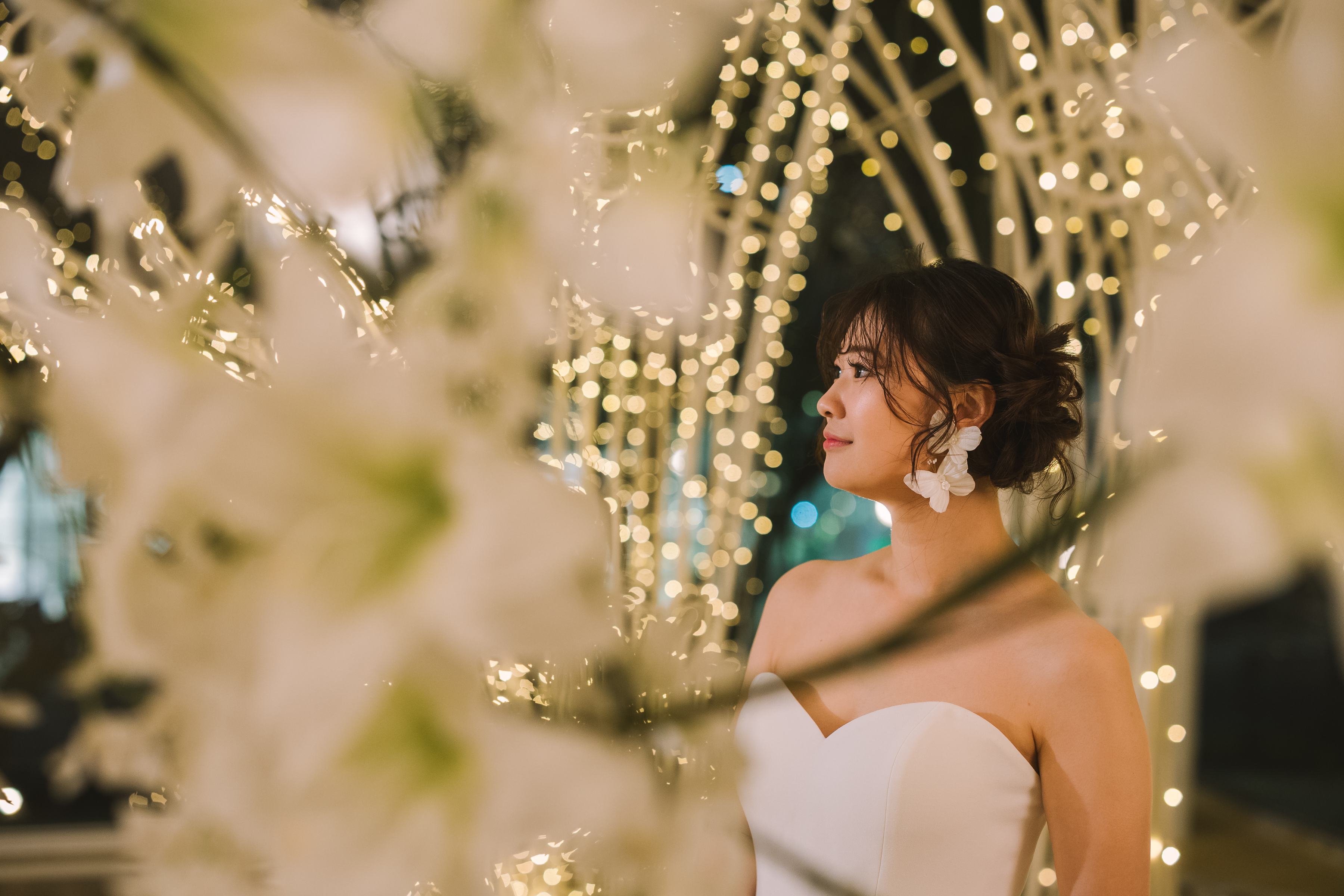 冬限定イルミネーション×ブランアーチ　結婚式＆フォトウェディング