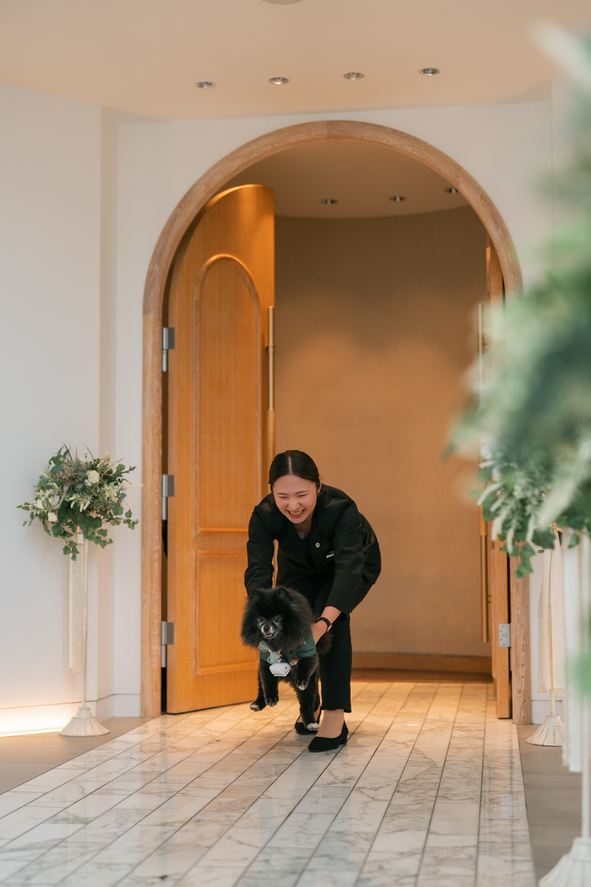僕たち大活躍！ワンダフルな結婚式?