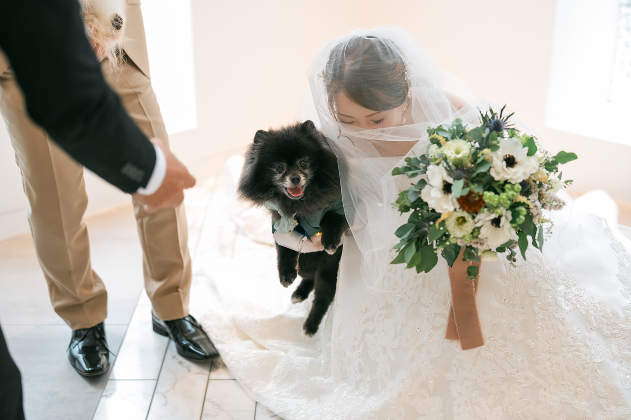 僕たち大活躍！ワンダフルな結婚式?