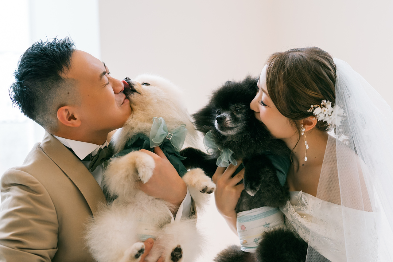僕たち大活躍！ワンダフルな結婚式?