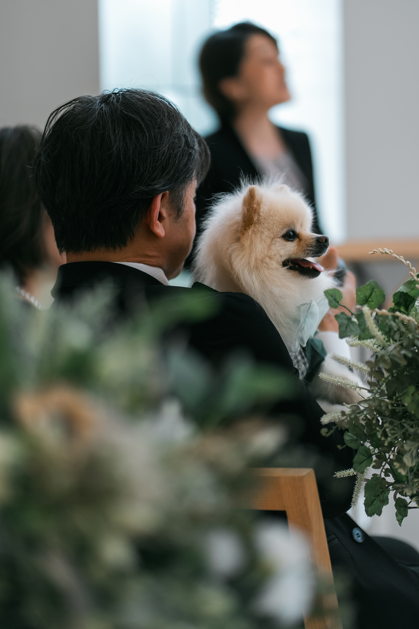 僕たち大活躍！ワンダフルな結婚式?
