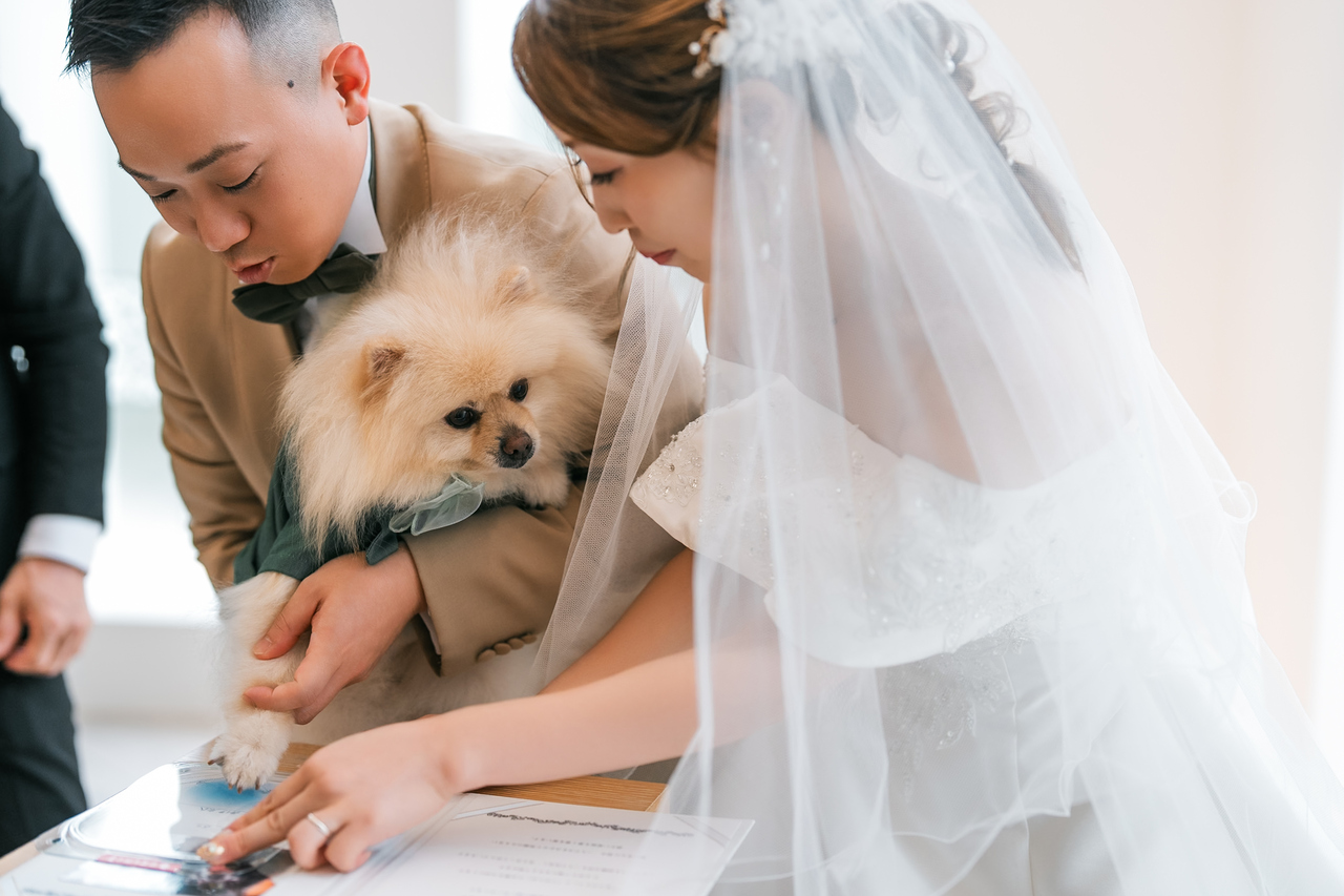 僕たち大活躍！ワンダフルな結婚式?