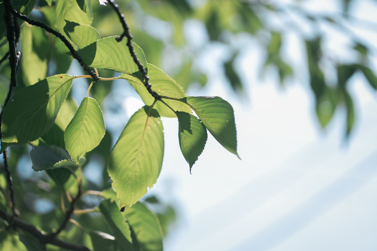 ずっといっしょだよ♡