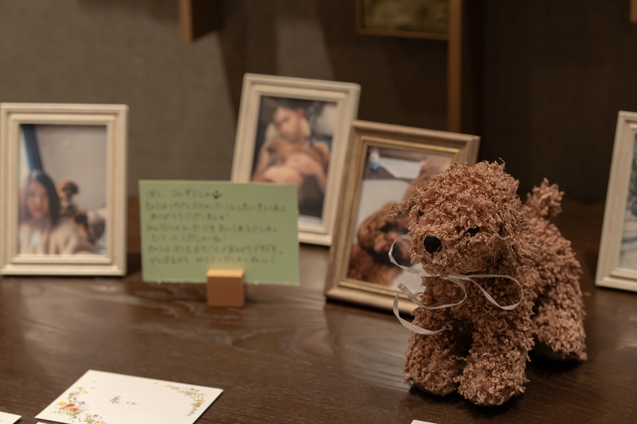 愛犬も大切な家族🐕みんなで迎えた心あたたまる挙式