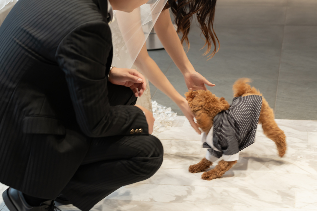 愛犬も大切な家族🐕みんなで迎えた心あたたまる挙式
