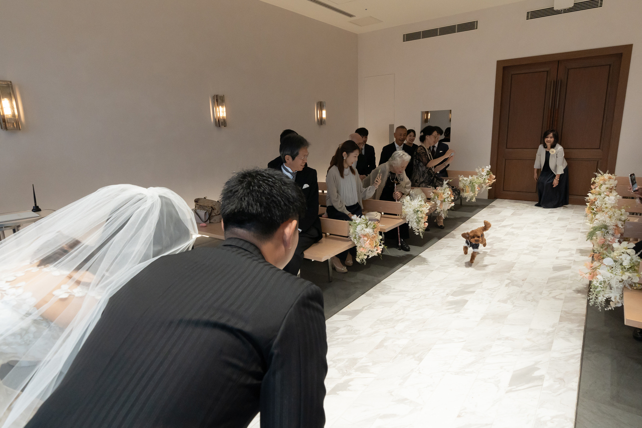 愛犬も大切な家族🐕みんなで迎えた心あたたまる挙式
