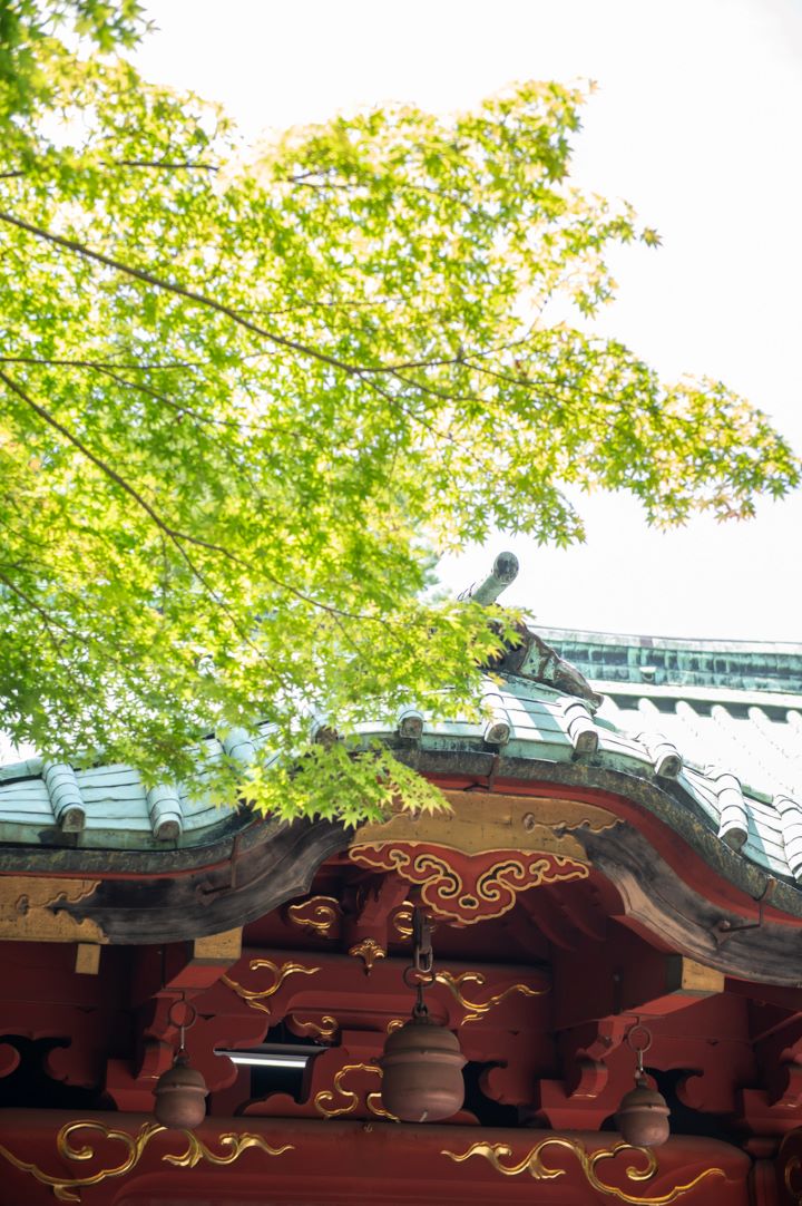 神前式のご紹介♪