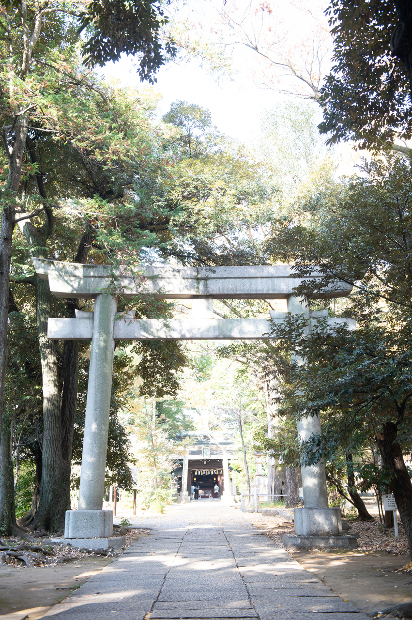 赤坂氷川神社でのお式をご紹介⛩