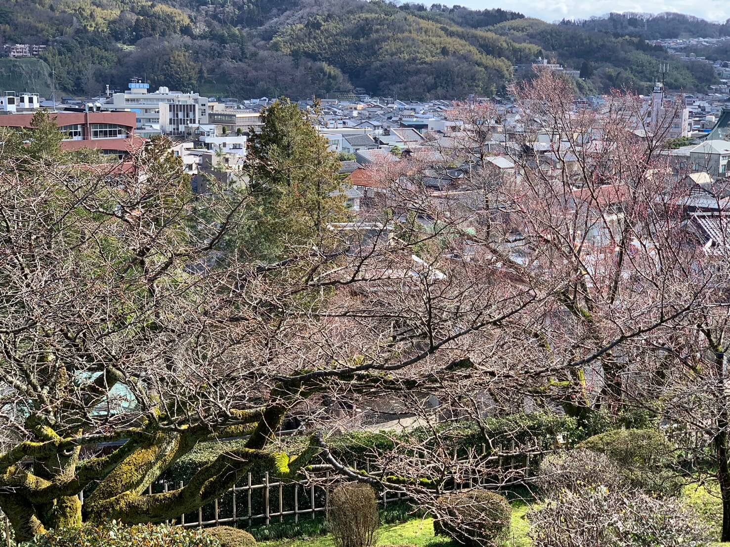 北陸旅婚③