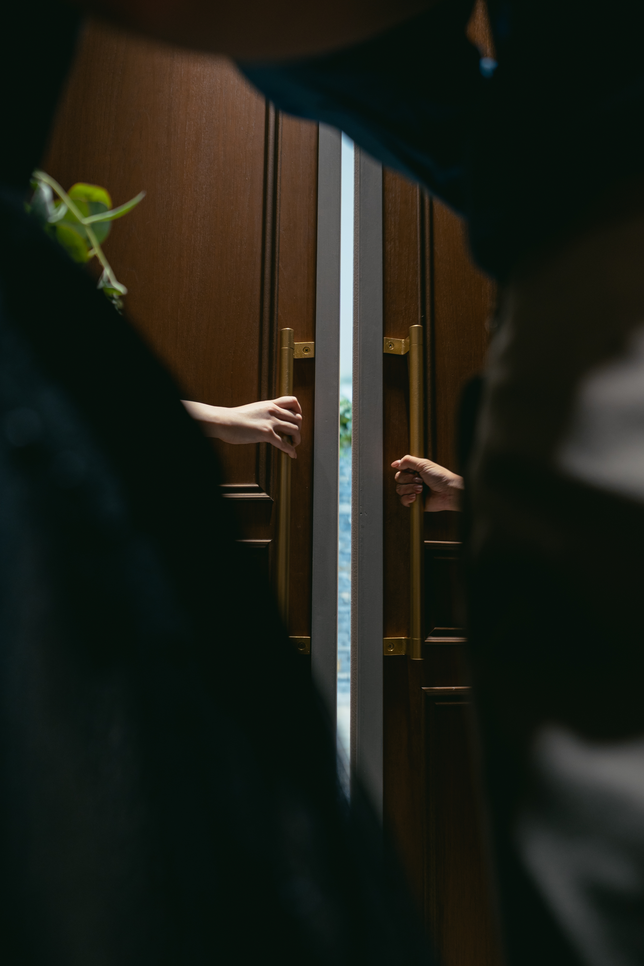 ✨カラードレスの特別演出✨