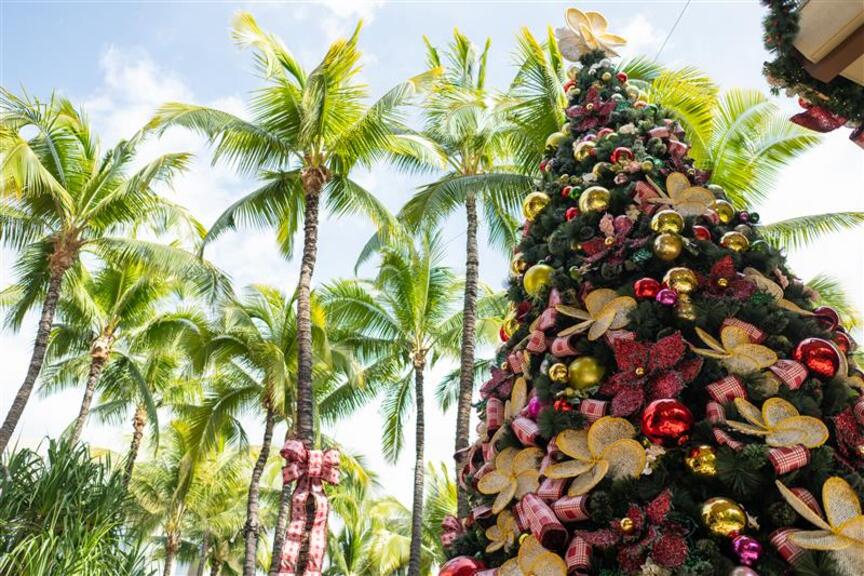 ハワイおすすめ情報(観光編/Christmas)♪