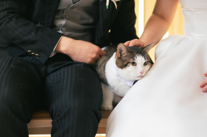 家族のネコちゃんと一緒に撮影(=^・^=)