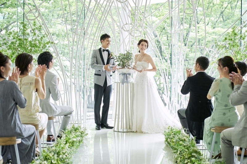 新緑シーズン到来☆