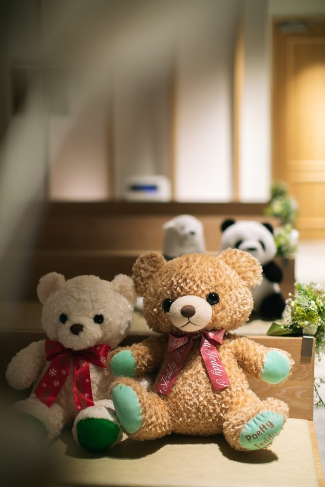 ぬいぐるみに見守られながらお二人だけの誓いのお式