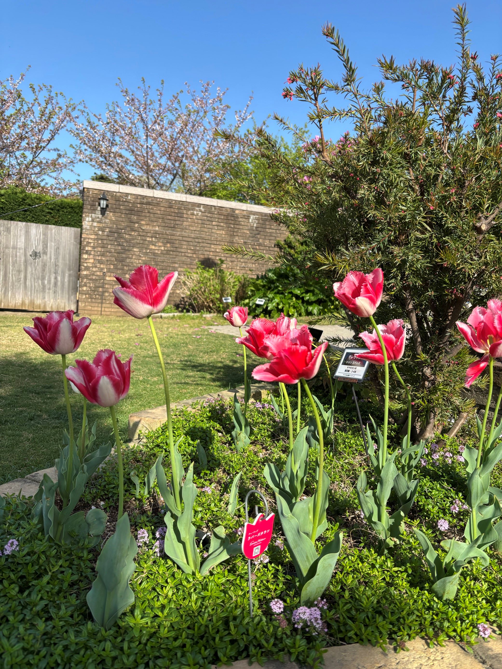 小さな結婚式横浜店～ガーデンの様子をご紹介?PART2～