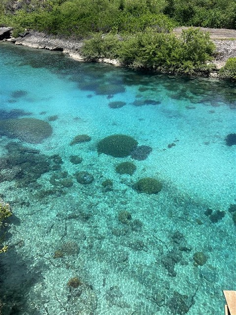 グアム～現地情報ver.4～