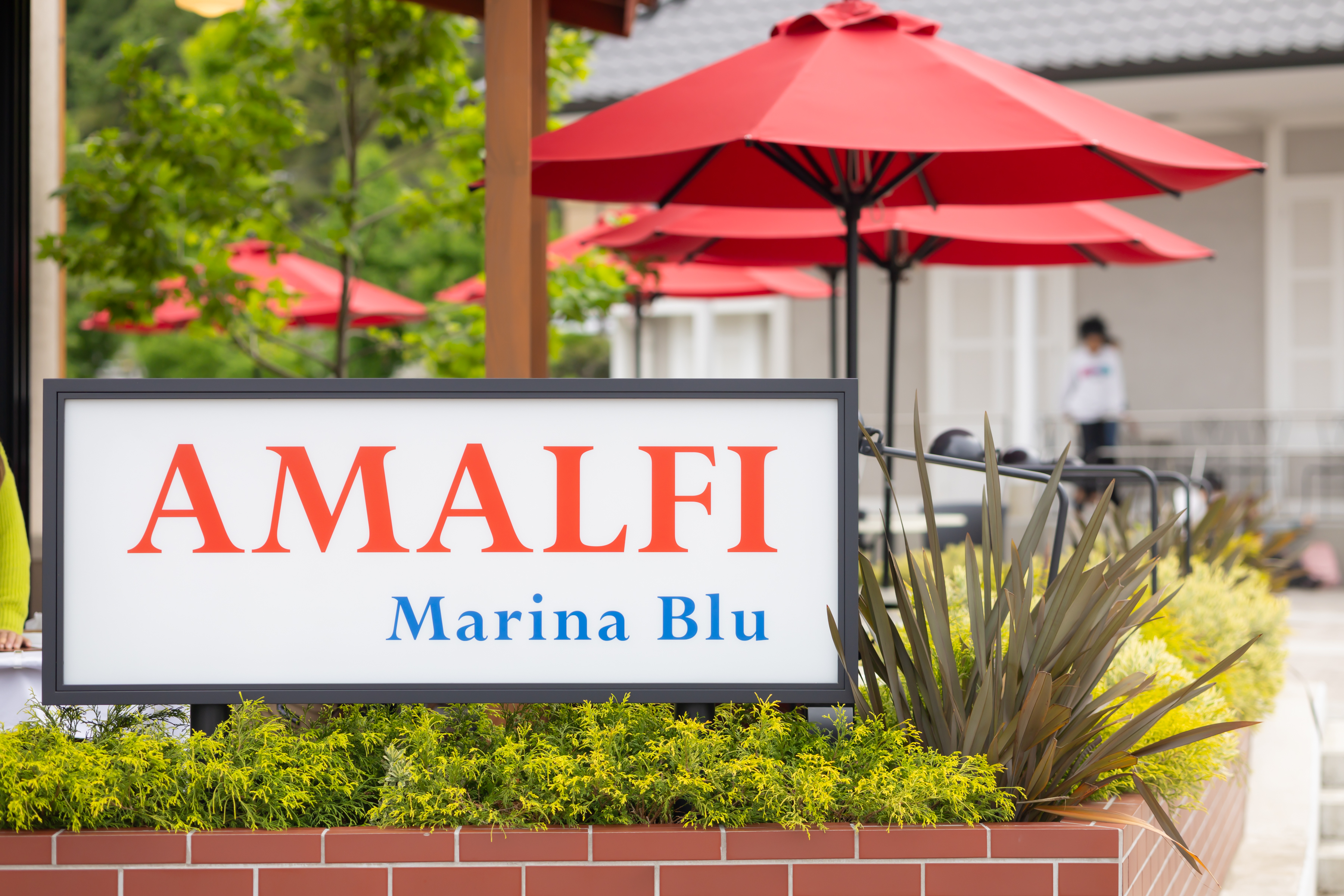 小さな結婚式横浜店～横須賀での船上挙式【アマルフィイレストランでのお食事】～