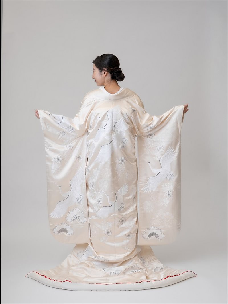 宮崎店新作衣装紹介👘✨【白 UD-綾羽鶴 /あやはかく​】