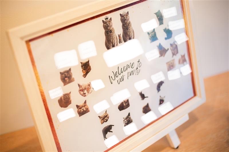 お留守番だけど一緒に参加できるペット婚?