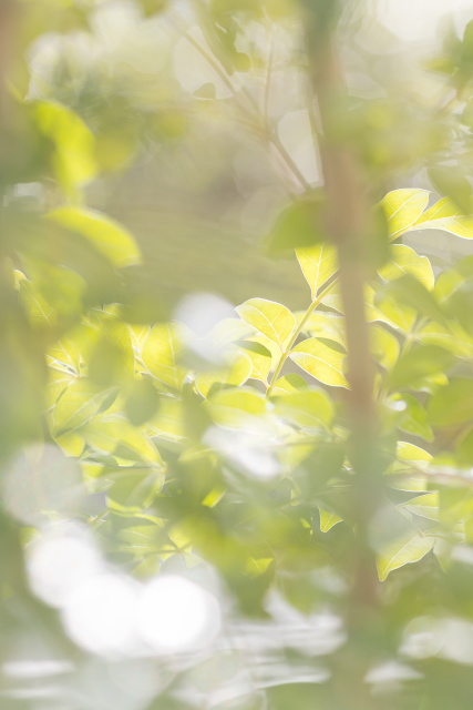 小さな結婚式松山店?～ANAクラウンプラザホテル松山チャペル・ウェディングレポート①～