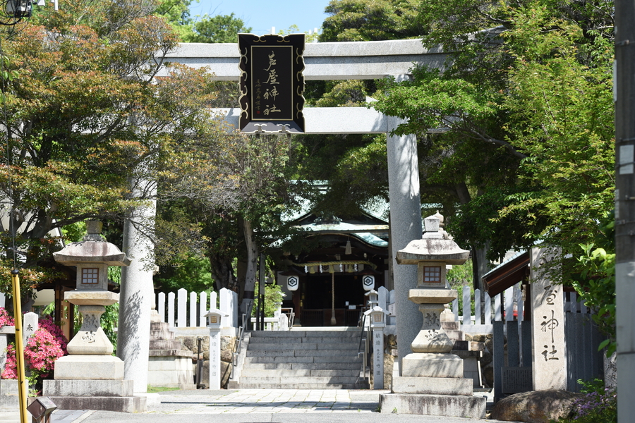 【少人数婚をご検討の方へ】芦屋神社で叶える家族中心の神前式