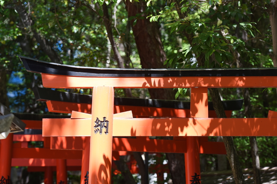 【少人数婚をご検討の方へ】芦屋神社で叶える家族中心の神前式