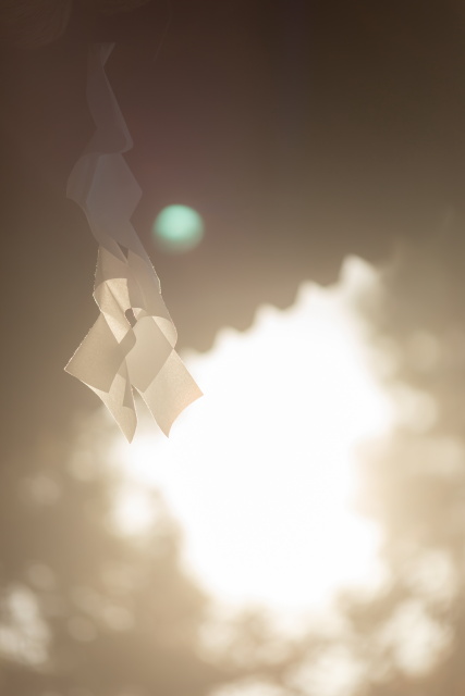 小さな結婚式松山店?～秋晴れの下で神前式～