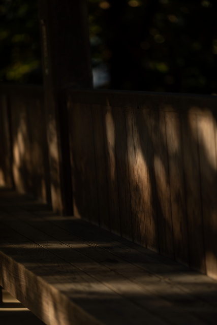 小さな結婚式松山店?～秋晴れの下で神前式～