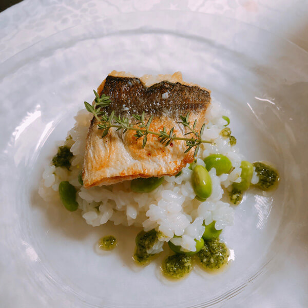 A Piacere（ア ピアチェーレ）のお料理について