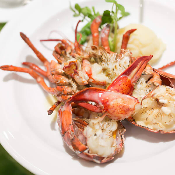 AKARENGAのお料理について