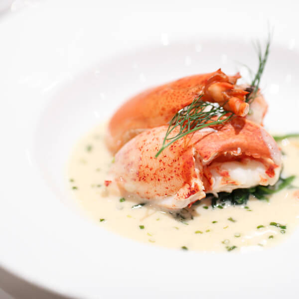 AKARENGAのお料理について