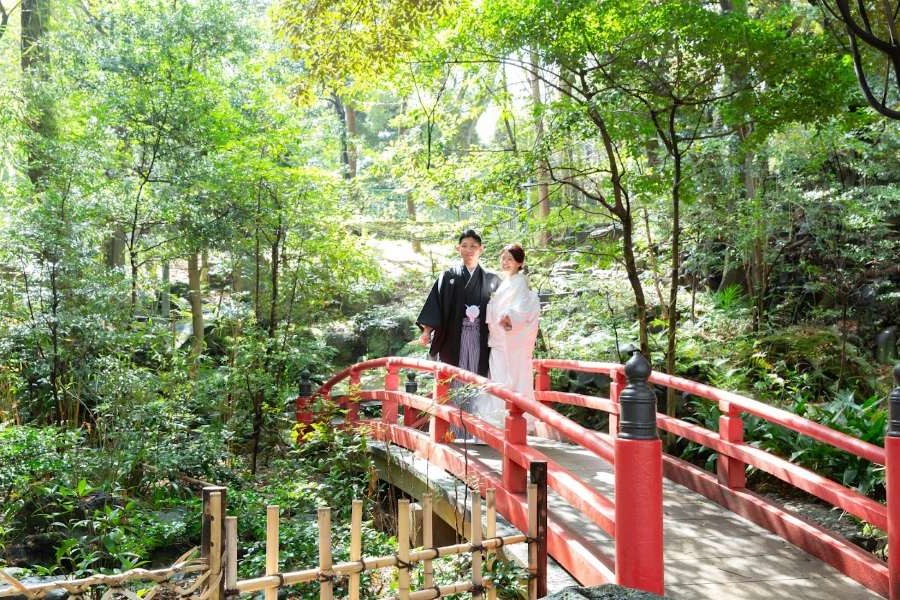 【四季の自然に包まれ写真映えする美しい境内】樹齢400年を超える大銀杏がそびえる境内は緑豊かで、四季折々の風景をバックに記念撮影が楽しめる。都心にありながら静寂に満ち、赤い社殿とのコントラストも美しく、思い出に残る写真が残せると評判です。