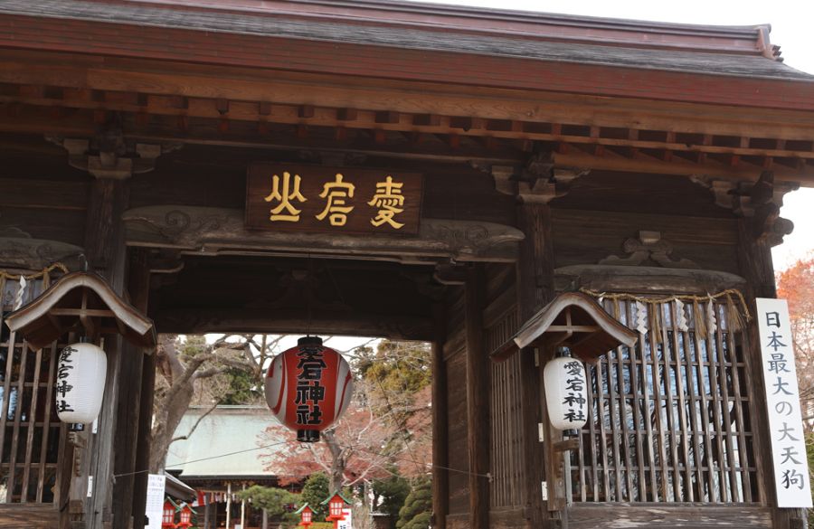 “出世の石段”や夫婦杉など縁起の良いスポットが満載