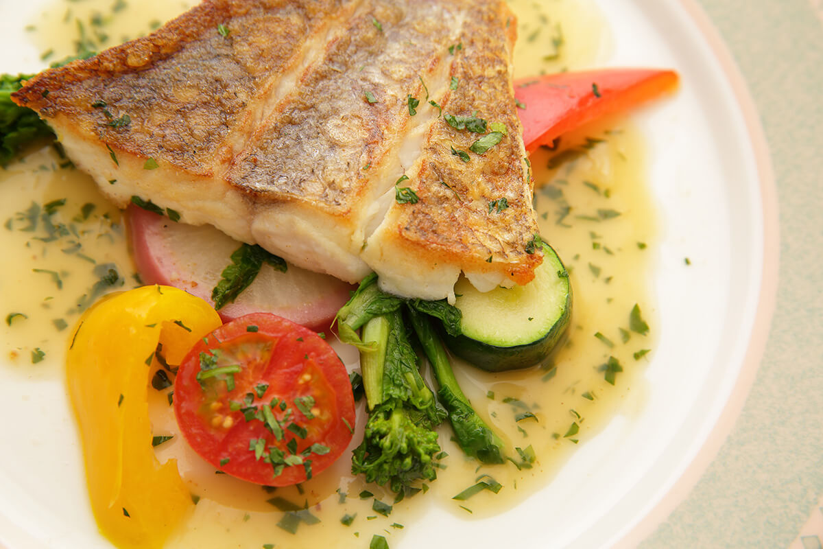 トラットリアカンパニオ TRATTORIA Companioのお料理について