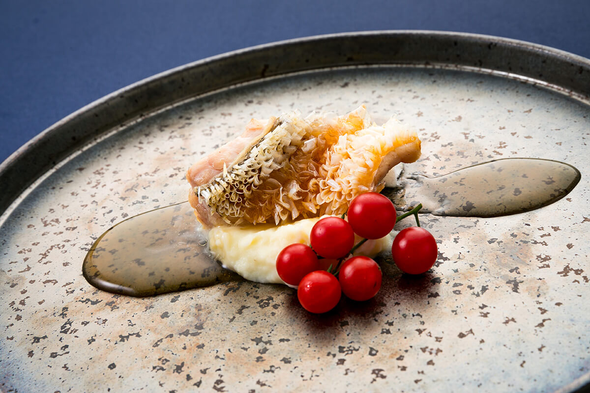 MANE（メイン）のお料理について