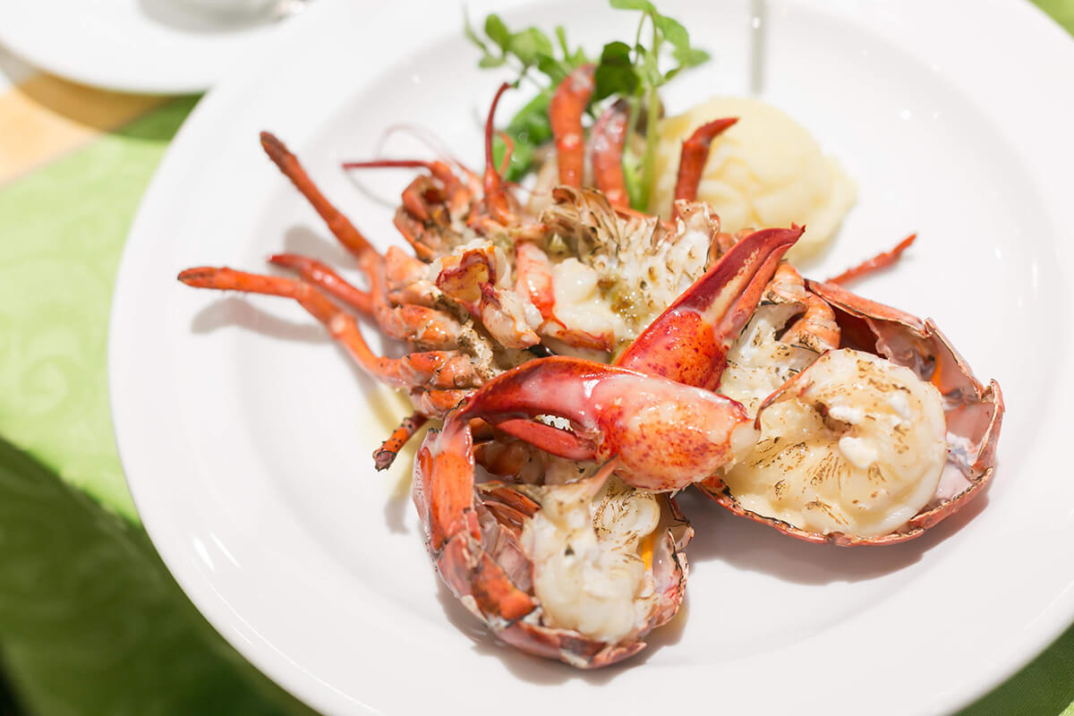 AKARENGAのお料理について