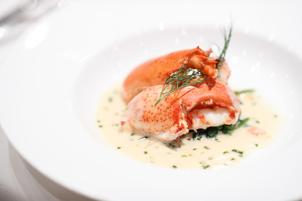 AKARENGAのお料理について