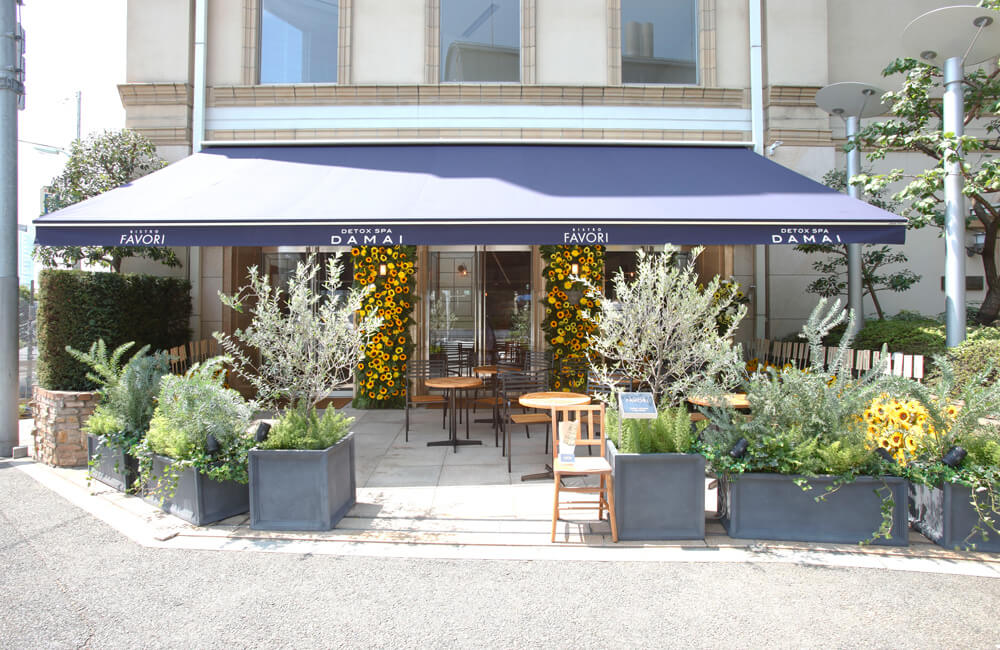 ビストロ ファヴォリ BISTRO FAVORI