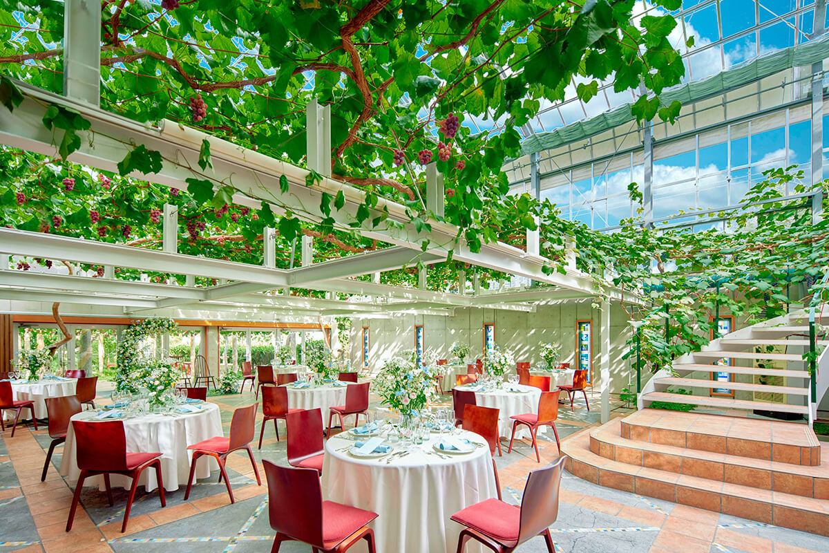 四季によって表情を変えるぶどう棚