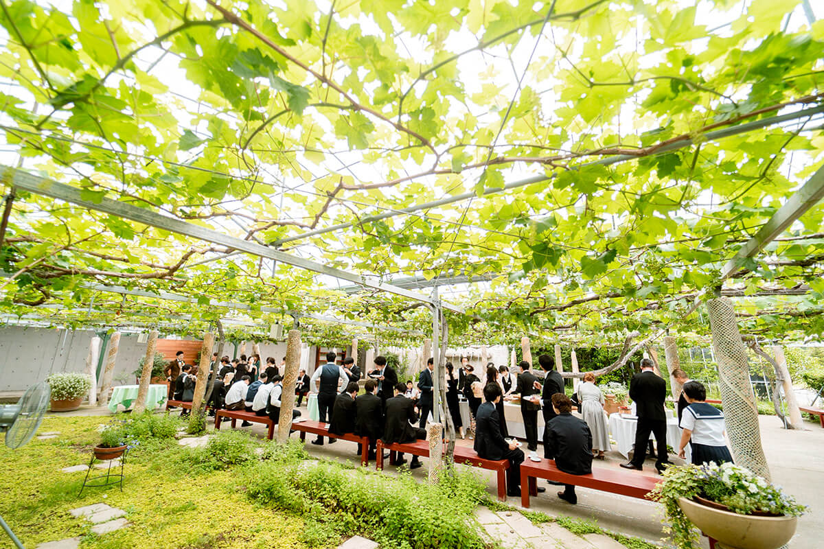 ガラス張りの天井から降り注ぐ陽光