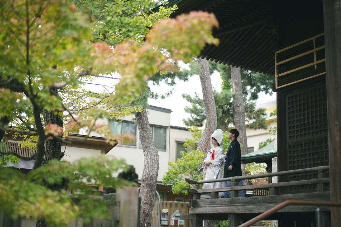 紅葉が始まっていて素敵　