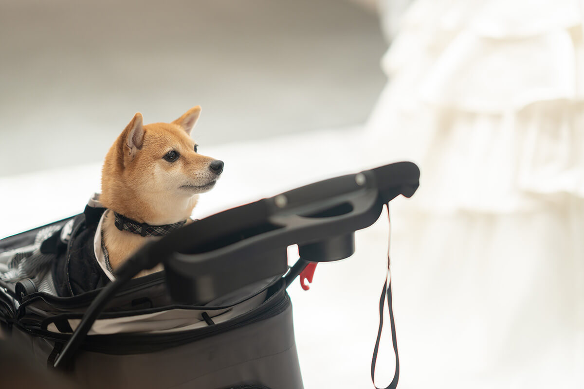 小さな結婚式 お台場チャペルで挙げられたお客様の結婚式写真05