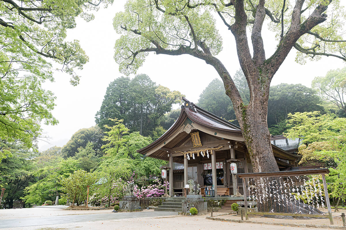 宝満宮 竈門神社で挙げられたお客様の結婚式写真01