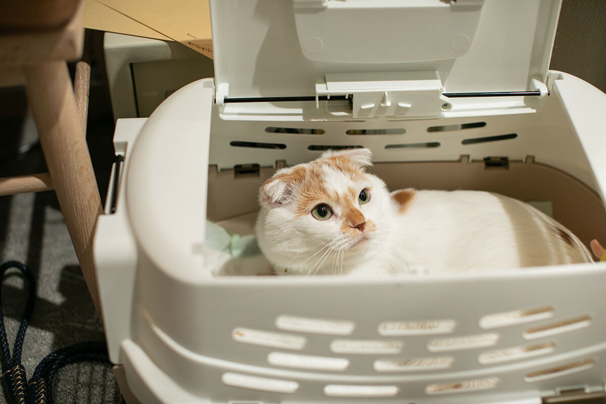 小さな結婚式 岡山チャペルで挙げられたお客様の結婚式写真01