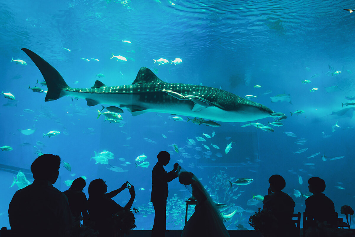 沖縄美ら海ウェディングで挙げられたお客様の結婚式写真11